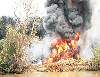 Fire razed 10 grain silos in Jigawa - NIGERIAN TRIBUNE (press release) (blog)