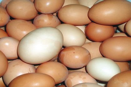 Eggs