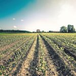 Ogun and challenge, agricultural mechanisation, exportation Agriculture, Bayelsa, invest