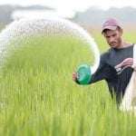 organic fertilizer in Africa, fertilizers