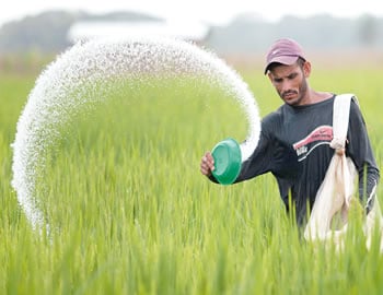 organic fertilizer in Africa, fertilizers