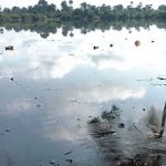 ogoni