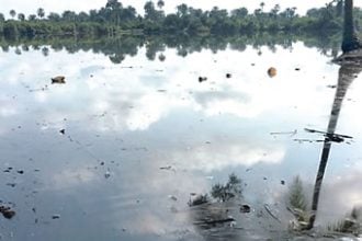 ogoni