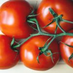 tomatoes tomato paste