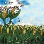 agriculture is farmers