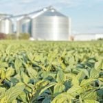 NAQS , FG sensitises agro-dealers, stakeholders against proliferation of fake agricultural inputs