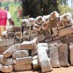 NDLEA, drugs, smuggle drugs
