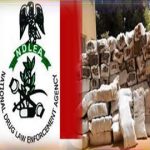 NDLEA, Drugs