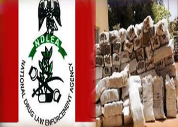 NDLEA, Drugs