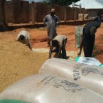 farmers harvest 50 bags, Oyo, FG, rice farmers
