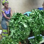 How to start vegetable farming in Nigeria with N20,000