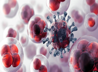 quality cancer care in West Africa, 15% of cancers are infection-related —Expert