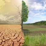 IPCC report a dire warning, climate change, cop25, WEP urges FG