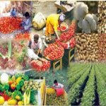 economy agriculture farming