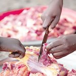 raw meat, coronavirus