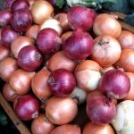 Ganduje promises support for promotion of onion value chain