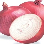Onions, onion
