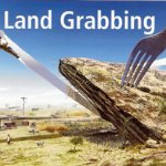 allegations of land grabbing, land grabbing, FG, States,