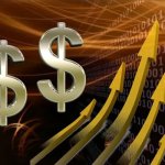 Flour Mills, profit, fbnquest research, Asset
