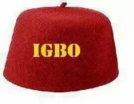 Persatuan Igbo: Raja Enugu meminta Ohanaeze Ndigbo untuk menyatukan para pemimpin Igbo