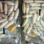 Customs impound 46.55kg of cocaine