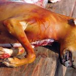 meat processing