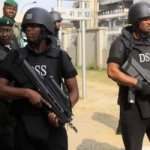 alleged plot to destabilise Nigeria, DSS ignores release warrants, #BayelsaDecides, DSS, Army, Bayelsa, election, INEC