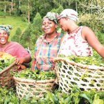 Agric