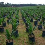 EECCA to hold workshop