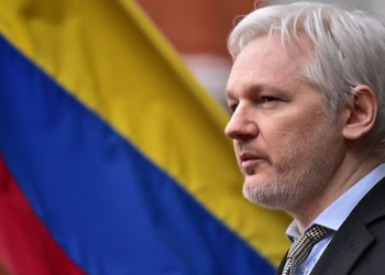 Julian Assange, Wikileaks founder