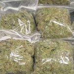 hard drug indian hemp