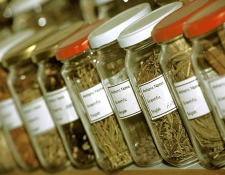 Herbs may boost blood production , herbal mixture, Osun infertility