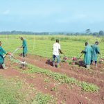 Nigeria agricultural productivity growing,FG trains agric extension, climate increased investment, Stakeholders agricultural extension, agriculture Nigeria risks food crisis, BOA agricultural agriculture