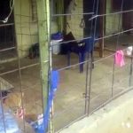 Delta state electrocution gate