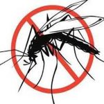 Oyo transiting from malaria burdensome to malaria-free state, cases of malaria, society group list insecurity,inconsistencies in malaria test results in Oyo , Nigeria eliminating malaria , nets, malaria, Malaria infection
