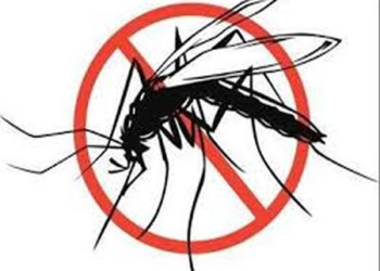 Oyo transiting from malaria burdensome to malaria-free state, cases of malaria, society group list insecurity,inconsistencies in malaria test results in Oyo , Nigeria eliminating malaria , nets, malaria, Malaria infection