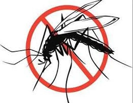 Oyo transiting from malaria burdensome to malaria-free state, cases of malaria, society group list insecurity,inconsistencies in malaria test results in Oyo , Nigeria eliminating malaria , nets, malaria, Malaria infection