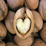 ‘Walnut enhances effectiveness of cholesterol lowering drug’