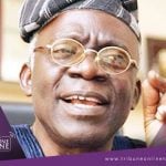 states, Court, Falana, Amotekun, Lagos explosion, COVID-19, coronavirus, soldiers, N200 fine, 6 month jail term, law, brutalise, lockdown