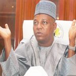 Presidential race not a bricklaying exercise, Shettima, insecurity