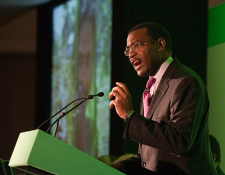 energy adaptation in Africa AfDB commits to invest $25bn AfDB unveils $1.5bn emergency, Africa must prepare , AfDB to launch new trust fund, AfDB's Africa investment forum , AFDB TCN, Adesina, Sub-Saharan Africa needs $425bn