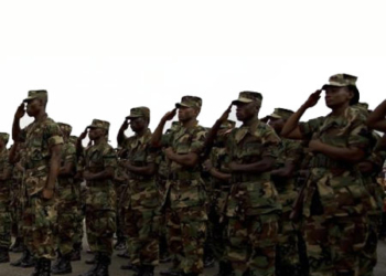 Nigerian, Army