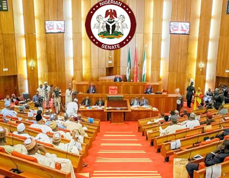 Senate indicts Ministry, Afenifere to Senate, constitutional review, senate, bill, sallah, acting Clerk of Senate