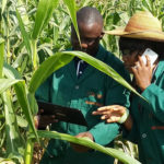 Agric IITA, digital tools, herbicide calculator