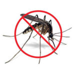 mosquito repellant this rainy season