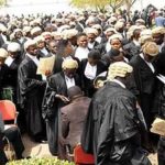 Muslim lawyers back, COVID-19, Lawyers, Lawyers are slapping us