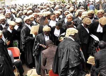 Muslim lawyers back, COVID-19, Lawyers, Lawyers are slapping us