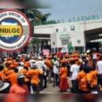 NULGE protests, demands LGAs autonomy