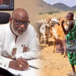 Ondo proposing anti-grazing law