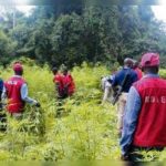 Navy, NDLEA, drug trafficking, waterways, illicit drugs, NDLEA, Jigawa, cannabis,seized Indian Hemp